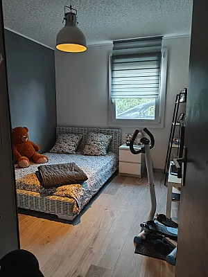Propose chambre contre services  