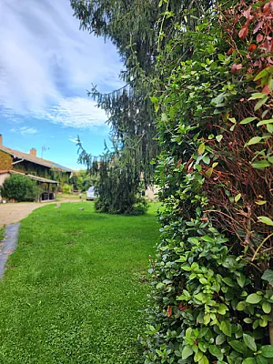 Appartement Indépendant contre Services Com