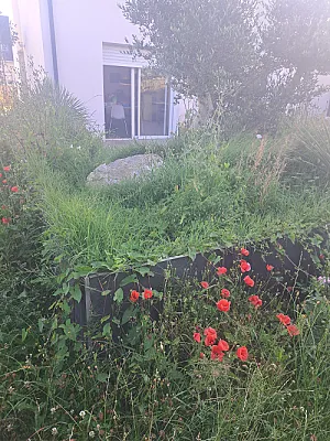 Propose chambre dans maison avec jardin 