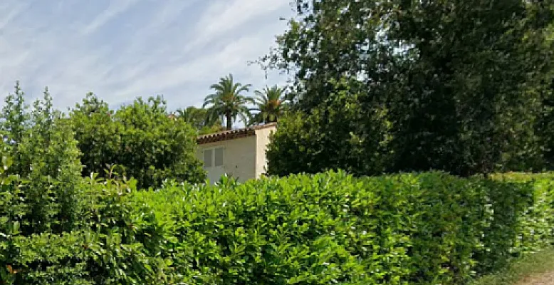 Aide à une personne âgée 