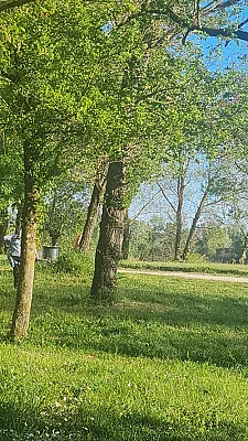 Hébergement contre service 