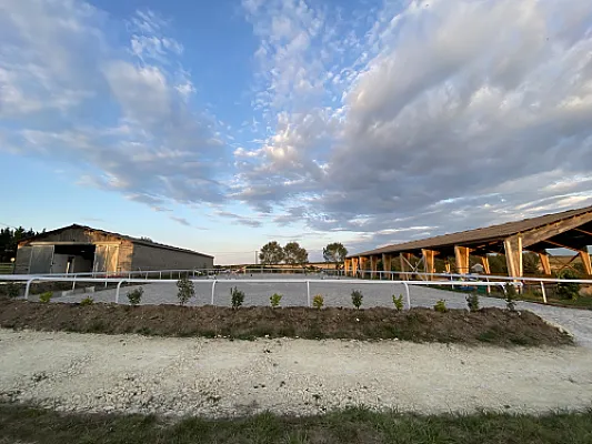 Logement contre garde chevaux dans haras