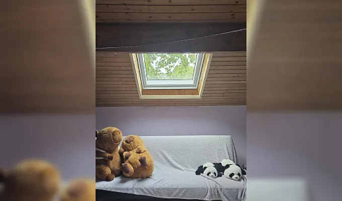 Logement  pour  amoureux  des chiens contre  petits  services 