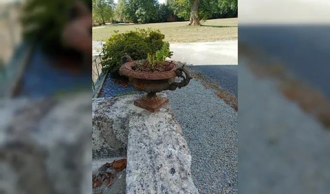 Logement unique en pleine nature 