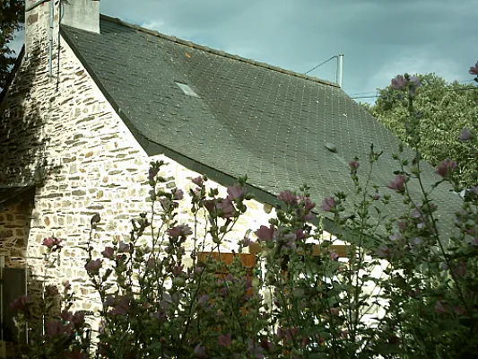 Propose Bungalow indépendant au cœur d'un jardin