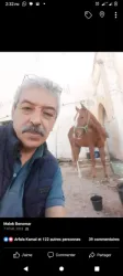 Abdelmalek A.