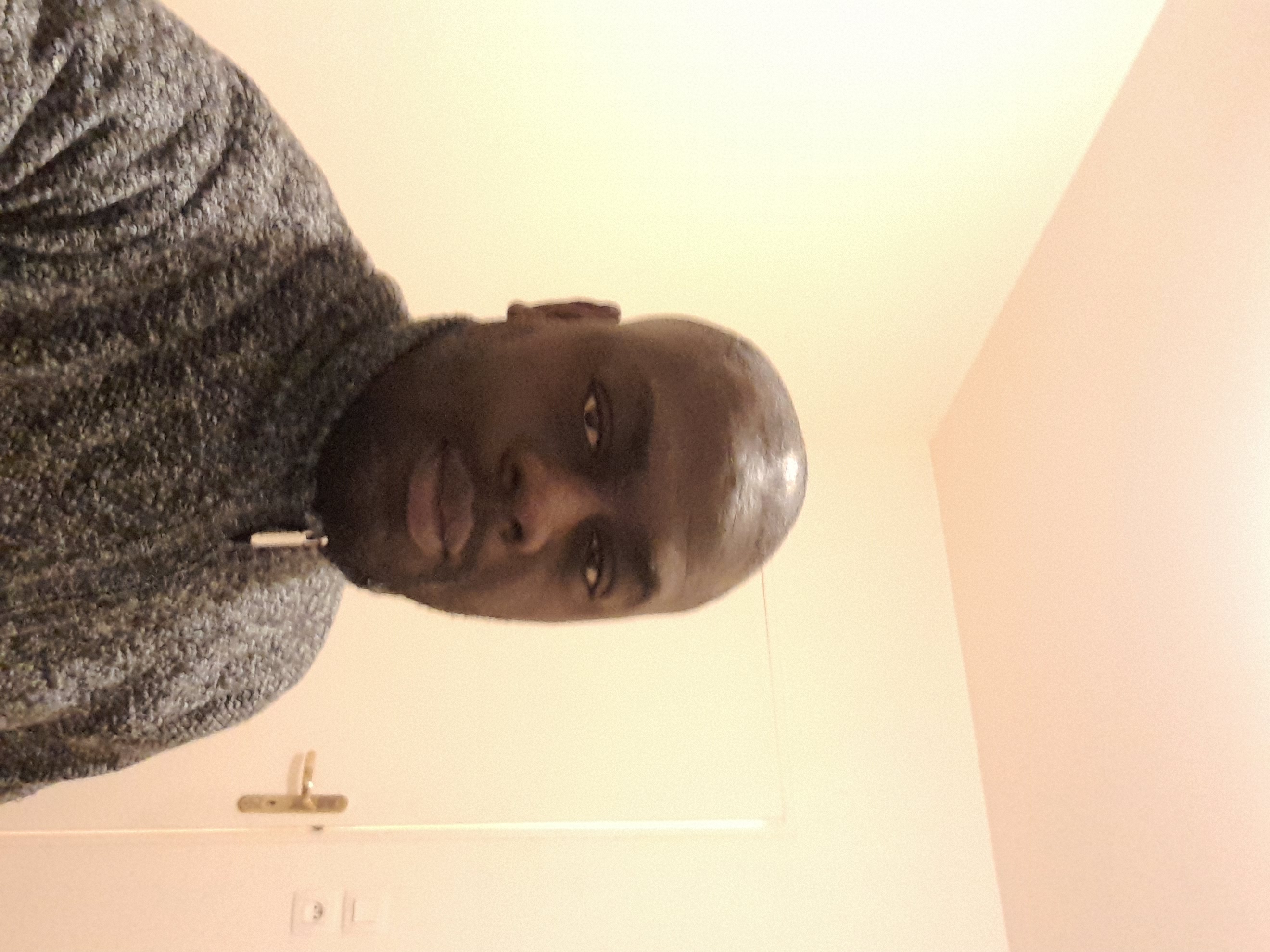 David bodi N.