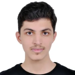 Hocine D.