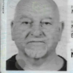 Michel V.