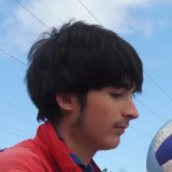 Matthieu D.