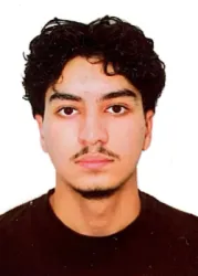Mehdi S.